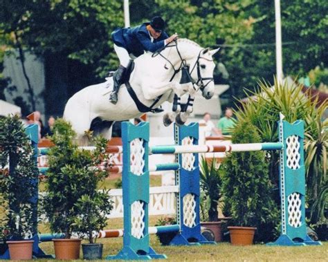 aleska 18+|Aleska 18: horse, 1 horse.movie, Pedigree, Ratings .